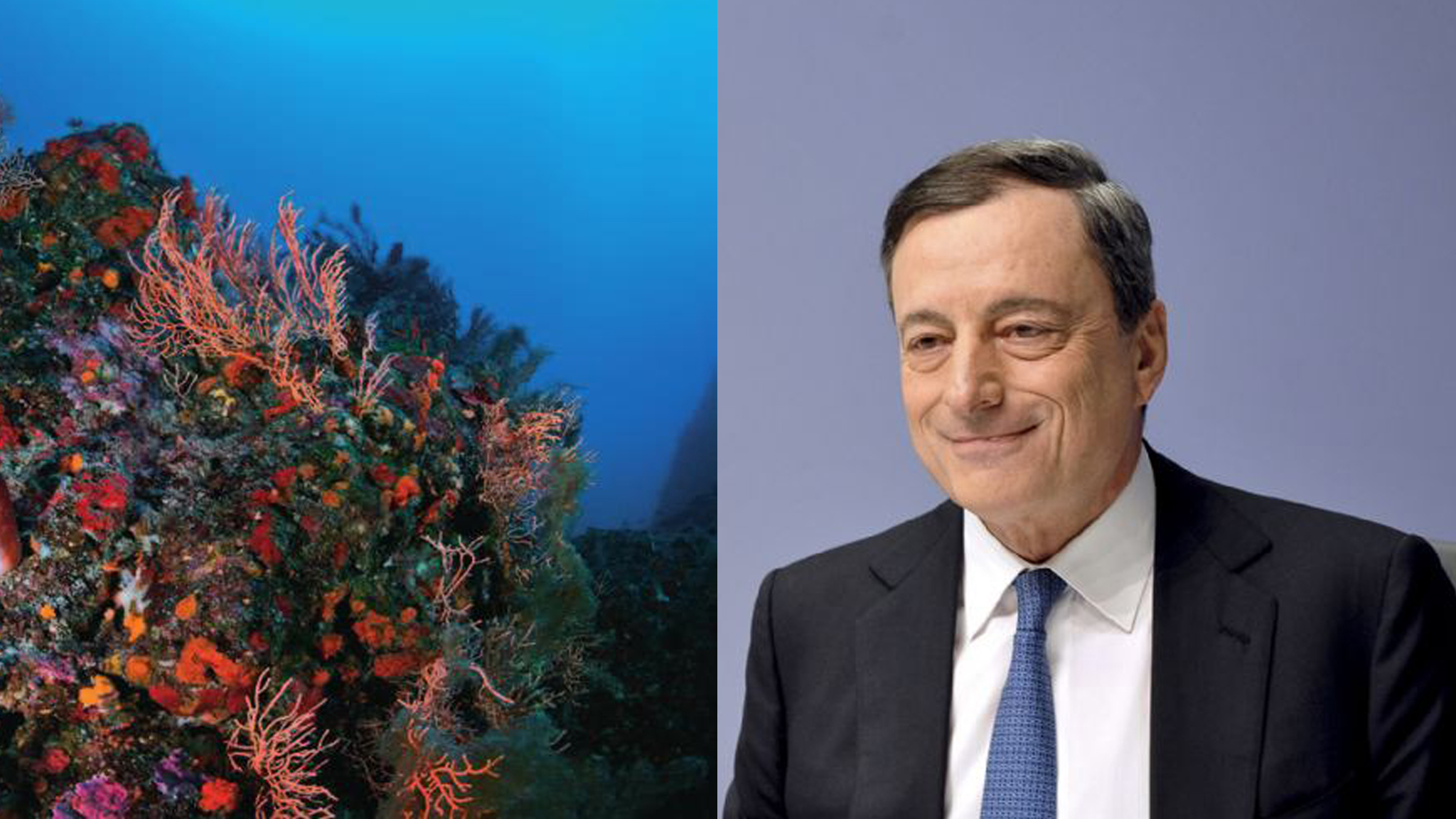 Draghi consulta il mondo ambientalista. Marevivo: «Un segnale importante»