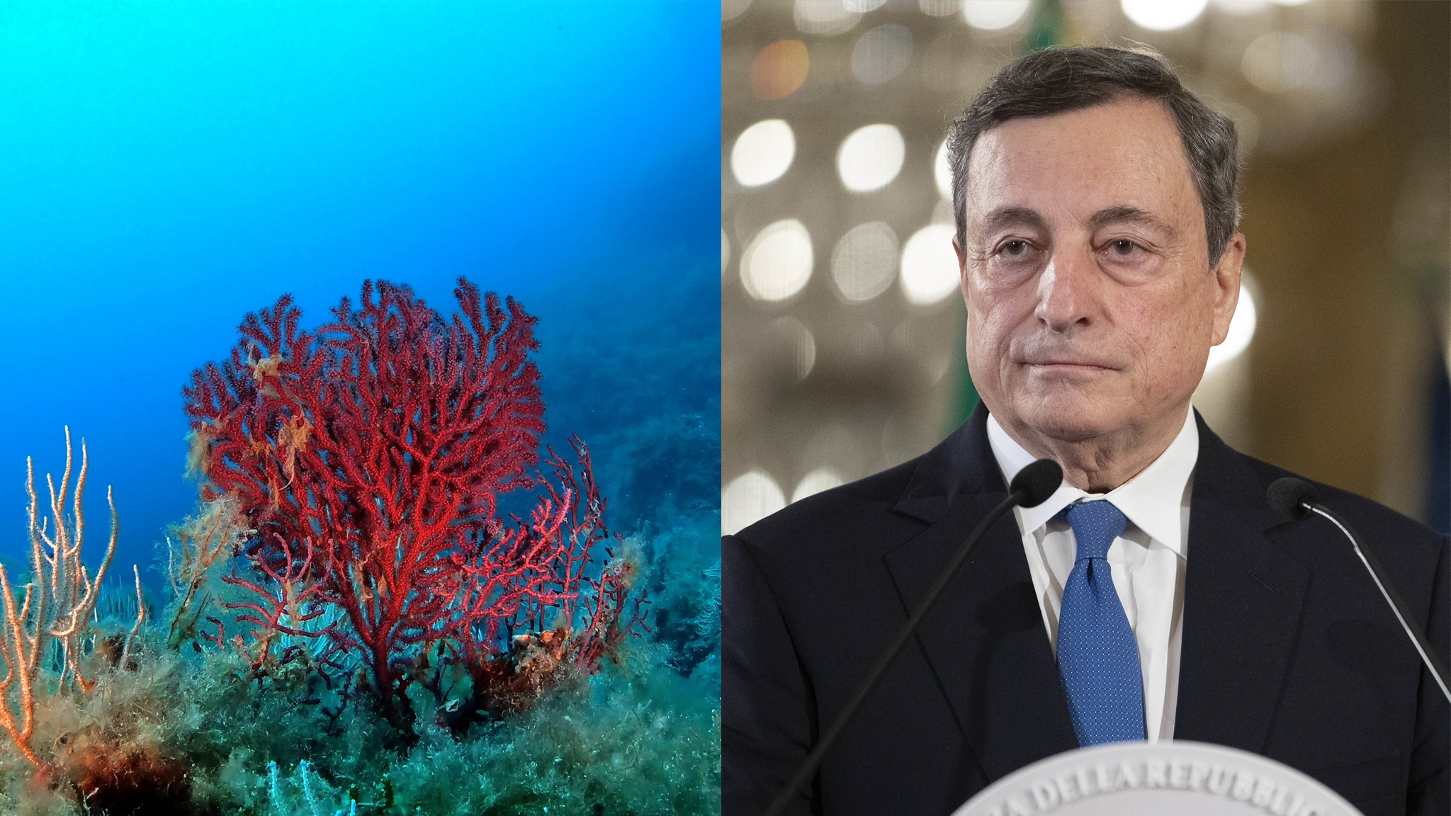 Il mare chiede un incontro con il Presidente Draghi