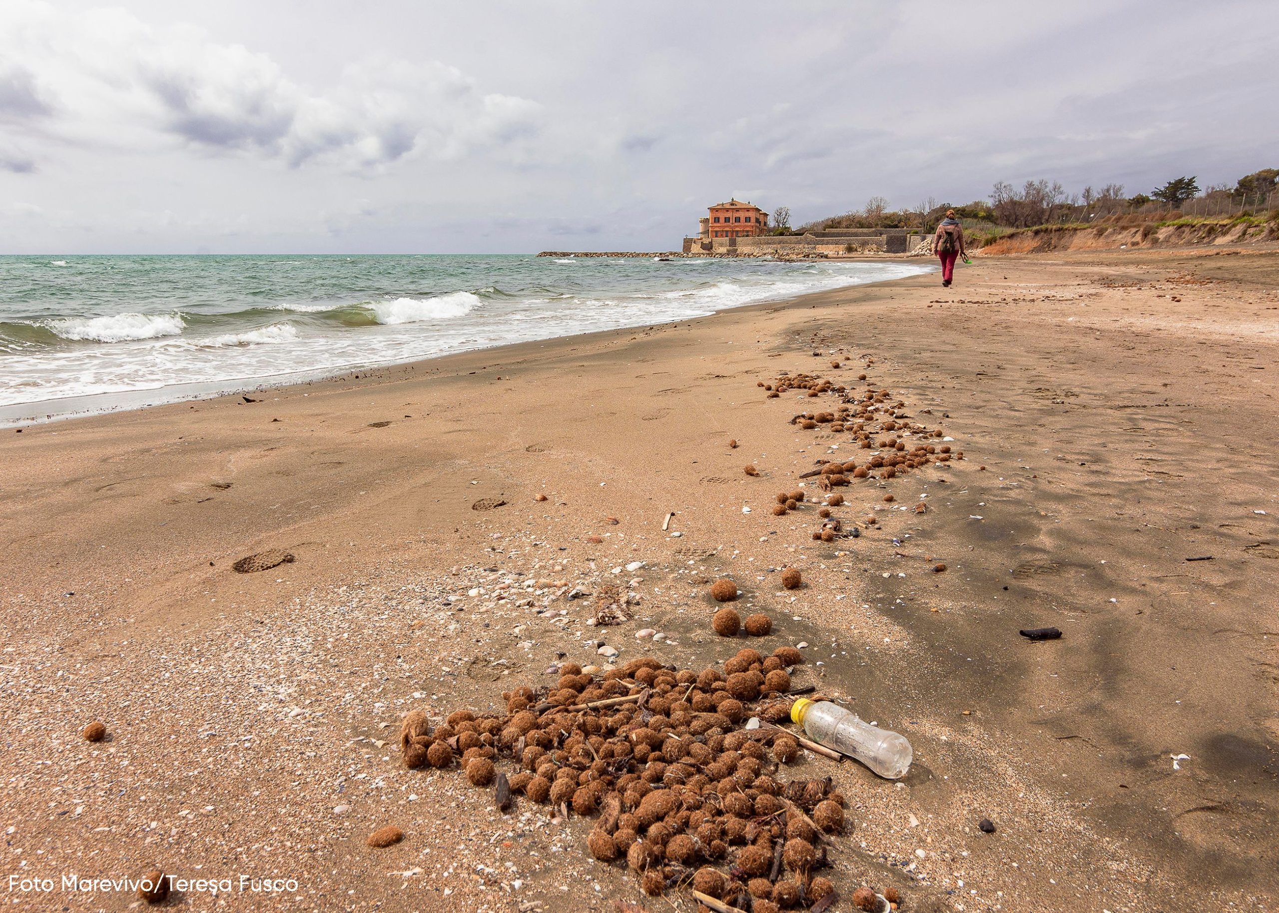 Marevivo e il Gruppo Pellicano Hotels insieme  per la tutela della spiaggia di Marina di San Nicola