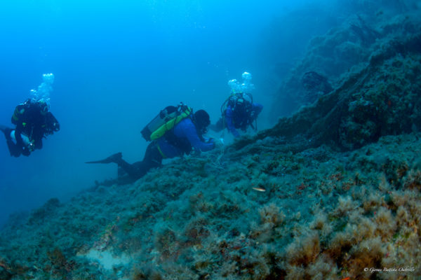 DSC 3119 Modifica DSC 3119 Modifica