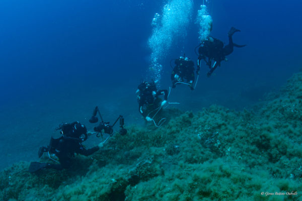 DSC 3245 Modifica DSC 3245 Modifica