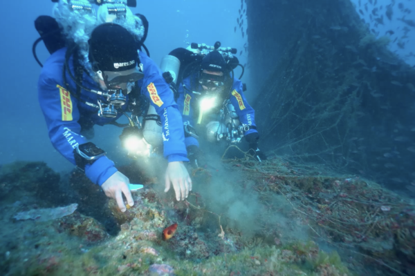 MAREVIVO01 MAREVIVO01