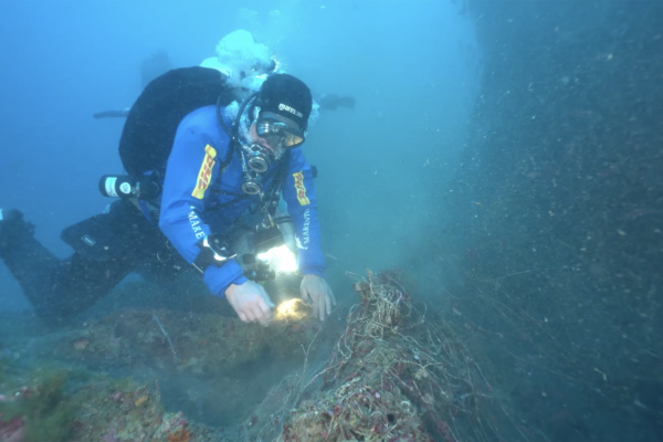 MAREVIVO05 MAREVIVO05