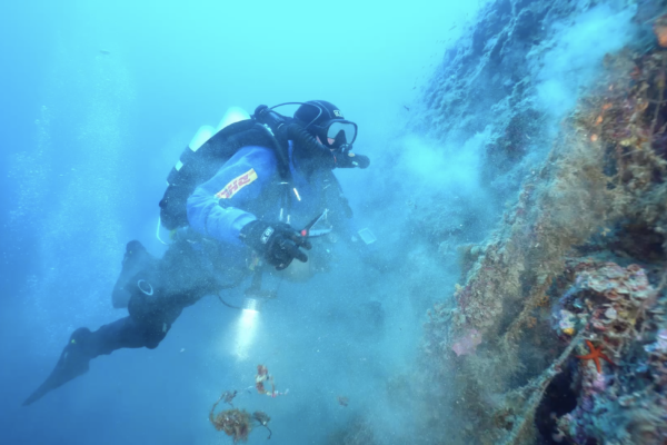 MAREVIVO07 MAREVIVO07