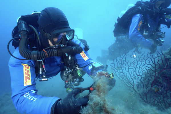 MAREVIVO08 Copia MAREVIVO08 Copia