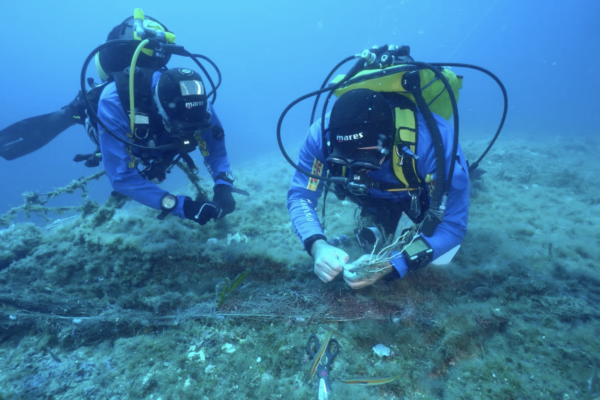 MAREVIVO09 MAREVIVO09