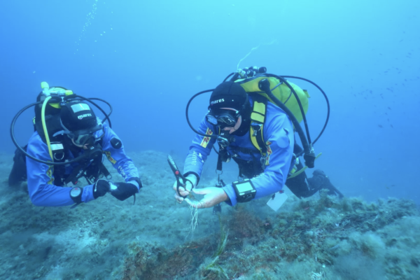 MAREVIVO10 MAREVIVO10