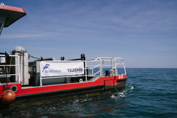 DSC00817-1 DSC00817-1