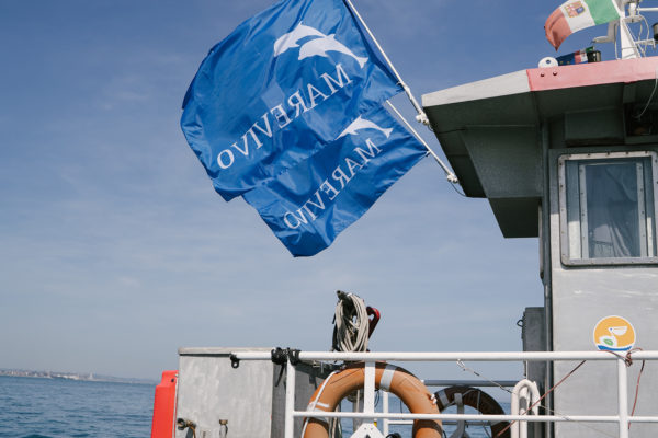 DSC00827-1 DSC00827-1