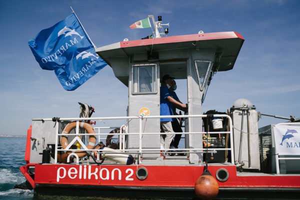 DSC00832-1 DSC00832-1