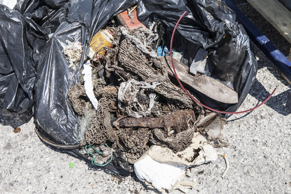 _MG_0694 rid _MG_0694 rid