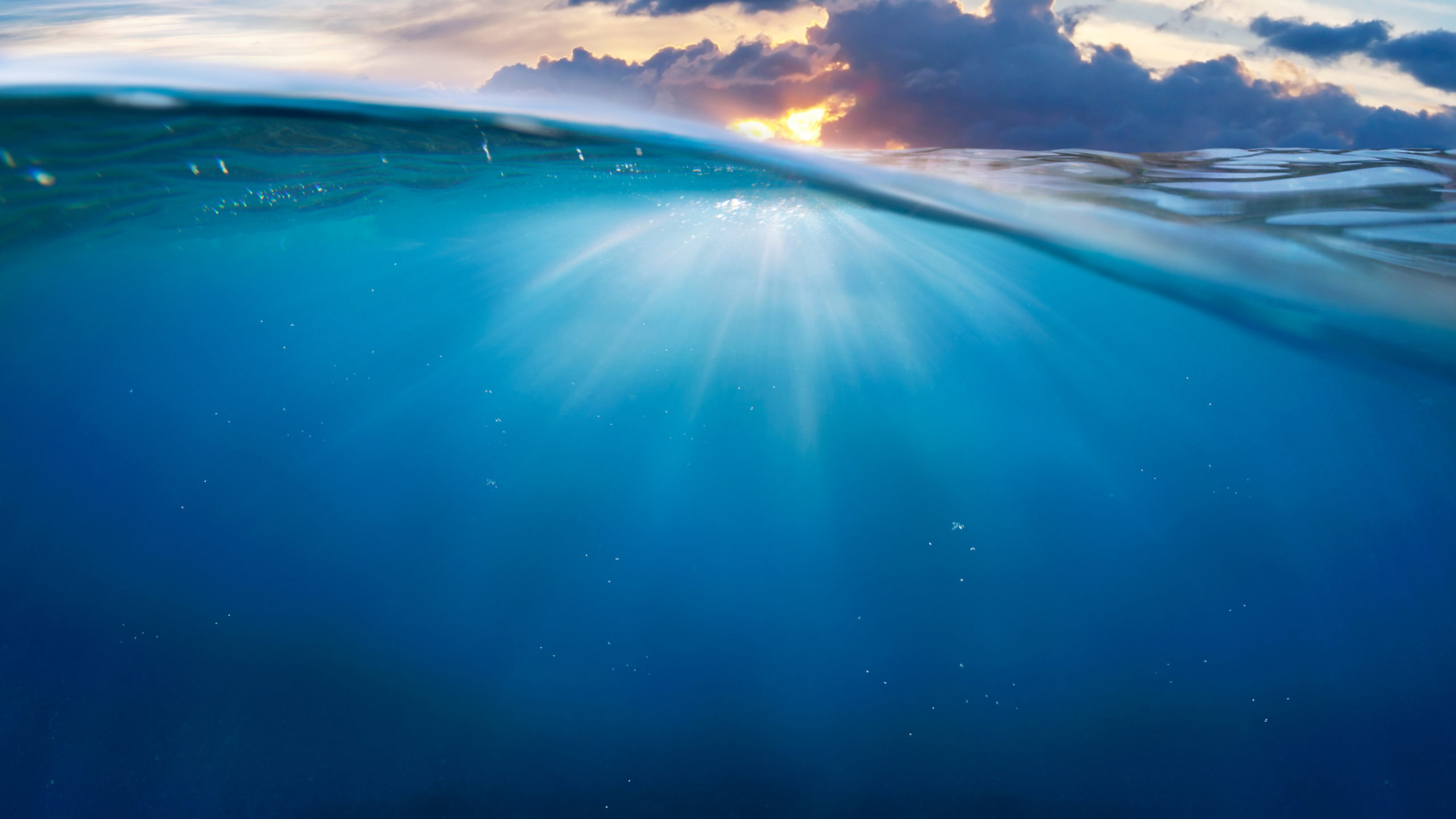 Conferenza “Oceani e Salute. Pensavamo di rimanere sani in un mondo malato”