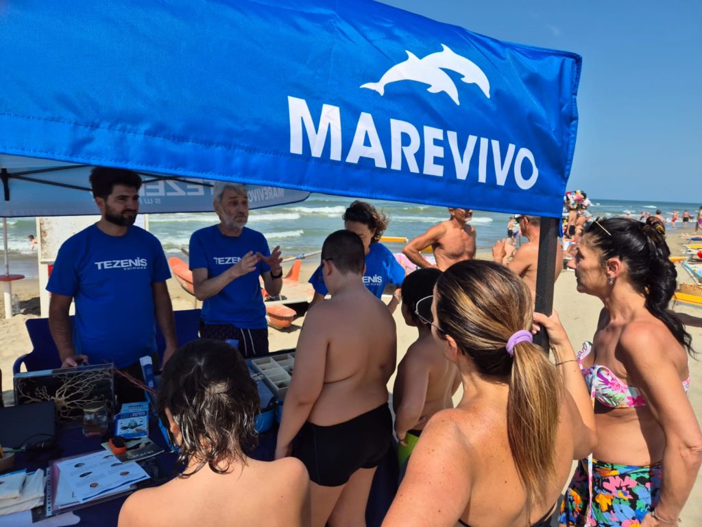 WhatsApp Image 2025 06 09 At 10.28.41