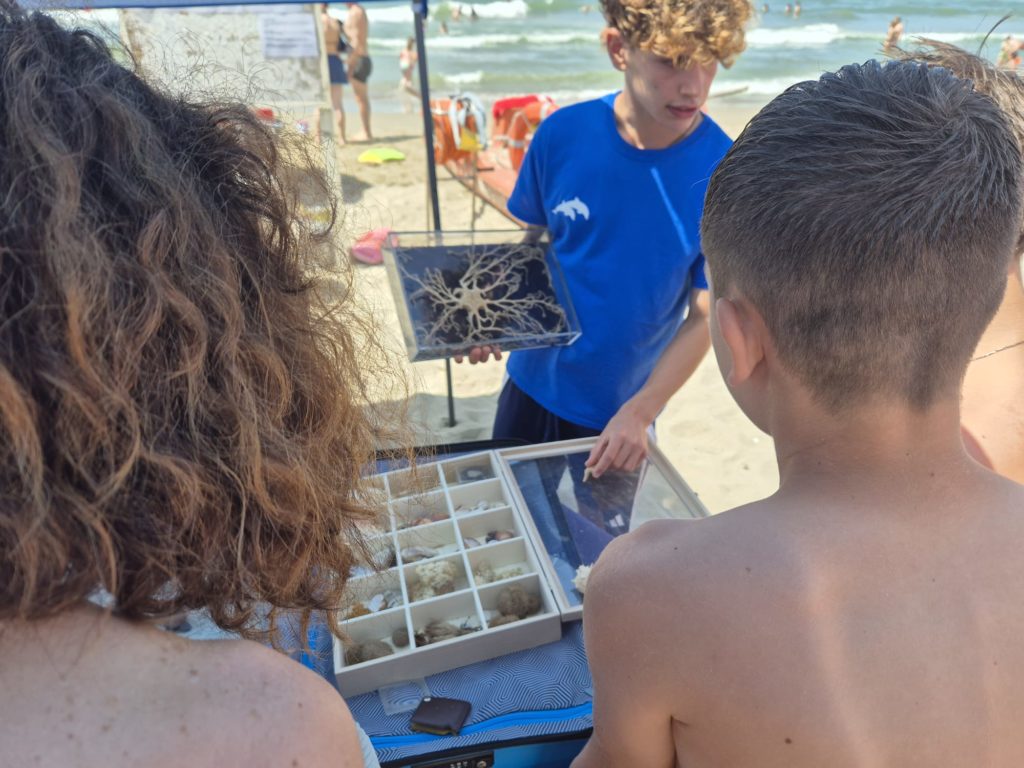 WhatsApp Image 2025 06 09 At 10.29.54