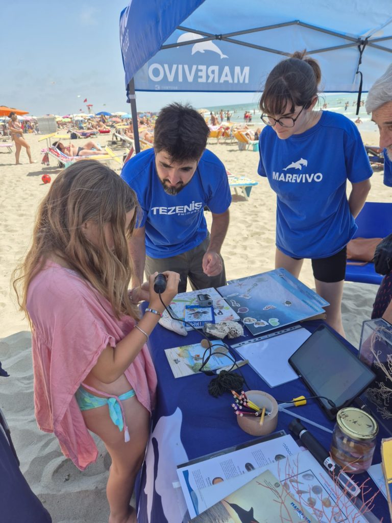 WhatsApp Image 2025 06 09 At 10.30.10b