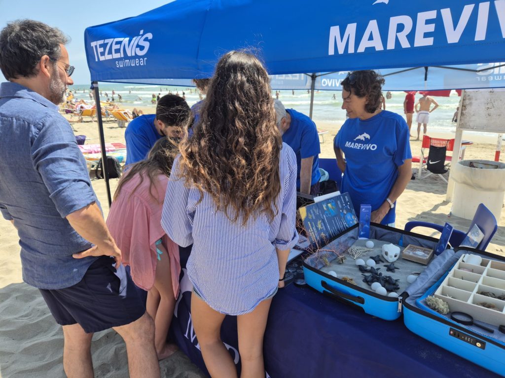 WhatsApp Image 2025 06 09 At 10.30.11b