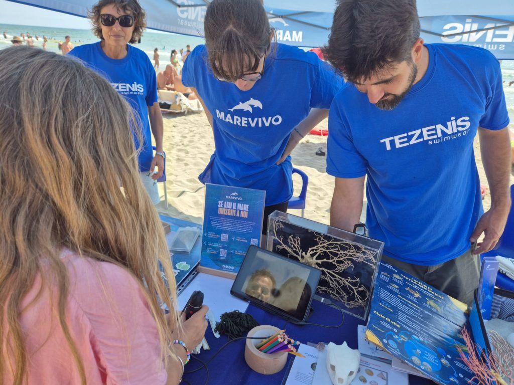 WhatsApp Image 2025 06 09 At 10.30.13