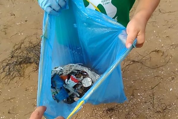 217322883 175318381296743 7066767257846209376 N