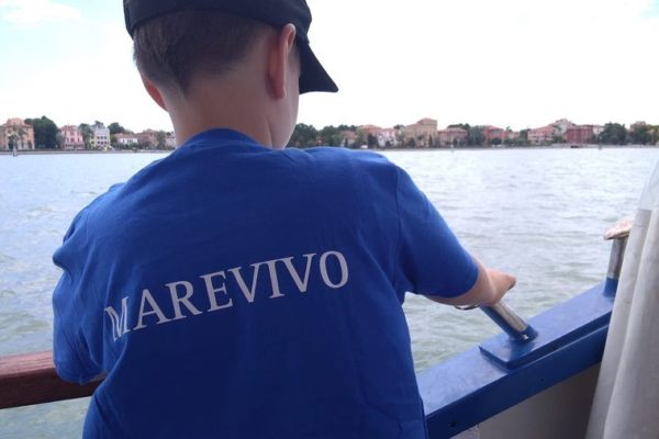 217400330 175318387963409 226651659076927940 N