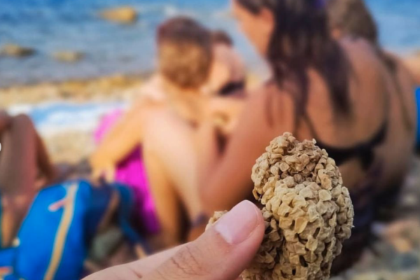 Schermata 2021 07 28 Alle 17.15.03 Schermata 2021 07 28 Alle 17.15.03