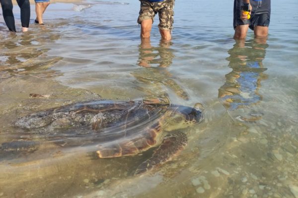 WhatsApp Image 2021 07 12 At 13.30.40 WhatsApp Image 2021 07 12 At 13.30.40