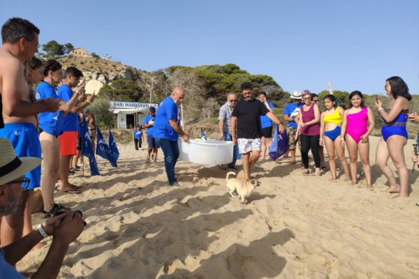 WhatsApp Image 2021 07 12 At 13.30.51 WhatsApp Image 2021 07 12 At 13.30.51