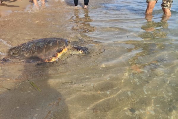 WhatsApp Image 2021 07 12 At 13.30.55 WhatsApp Image 2021 07 12 At 13.30.55