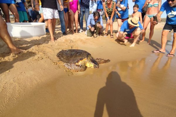 WhatsApp Image 2021 07 12 At 13.30.56 WhatsApp Image 2021 07 12 At 13.30.56