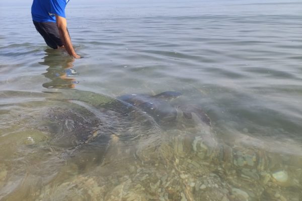 WhatsApp Image 2021 07 12 At 13.30.57 (1) WhatsApp Image 2021 07 12 At 13.30.57 (1)