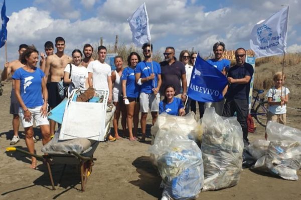 242343533 384391823165100 5379225561836269825 N