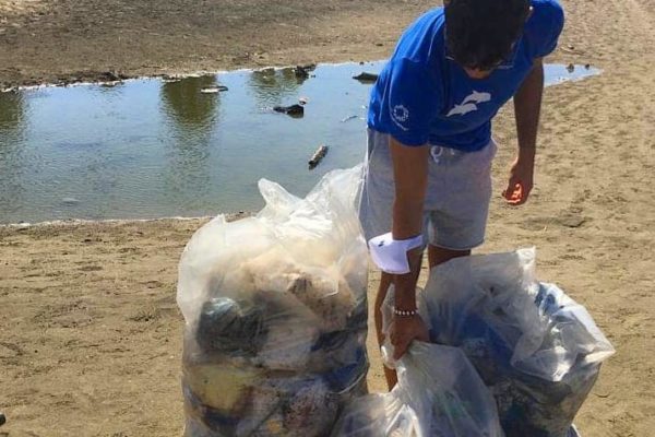 242429008 384391989831750 7207689668464448078 N