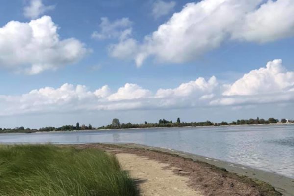 243920045 227402689421645 731948451848332620 N