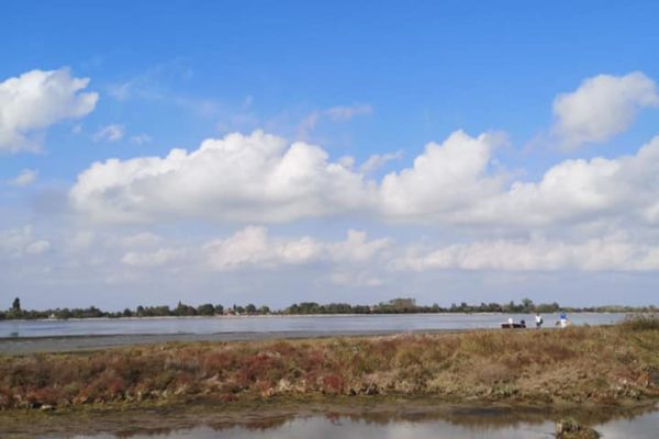 243980351 227402836088297 7762001830216065053 N