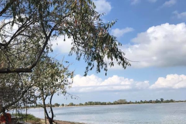 244231954 227402759421638 4046755178587793369 N