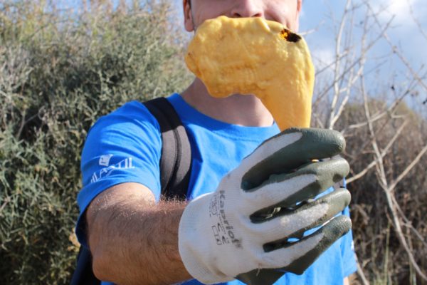 245599816 1117589045442420 3341276804098314493 N