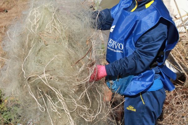 245649663 1117589128775745 4610732960068052478 N