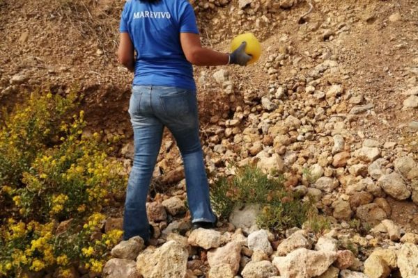 PHOTO 2021 10 24 17 53 32 13