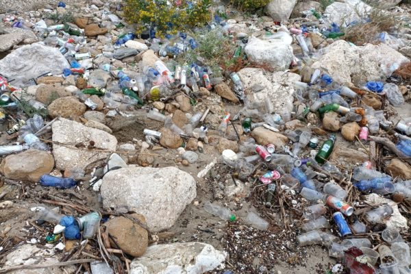 IMG20211105075637 IMG20211105075637