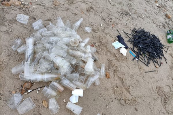 IMG20211105090225 IMG20211105090225