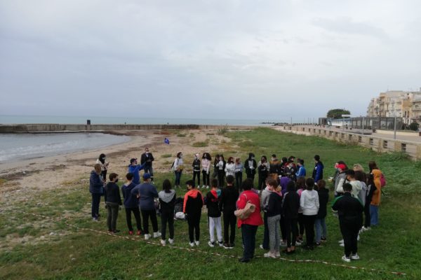 IMG 20211105 081727 IMG 20211105 081727