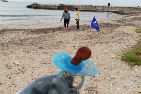 IMG 20211105 090043 IMG 20211105 090043