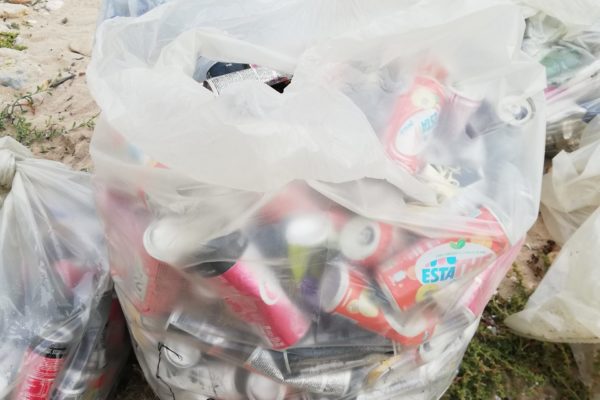 IMG 20211105 131625 IMG 20211105 131625