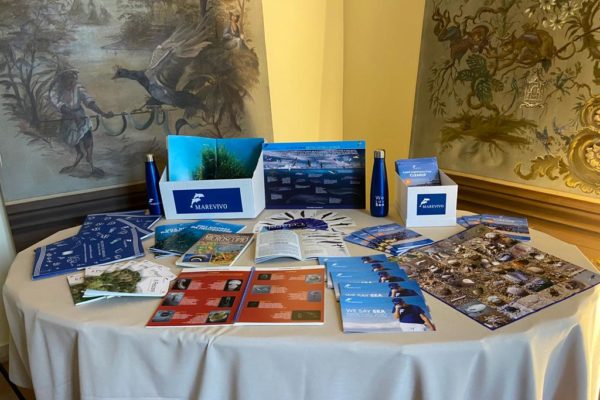 WhatsApp Image 2021 11 03 At 13.23.34 (1) WhatsApp Image 2021 11 03 At 13.23.34 (1)