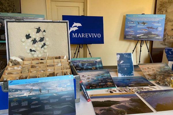 WhatsApp Image 2021 11 03 At 13.23.34 WhatsApp Image 2021 11 03 At 13.23.34