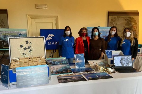 WhatsApp Image 2021 11 03 At 13.23.35 WhatsApp Image 2021 11 03 At 13.23.35