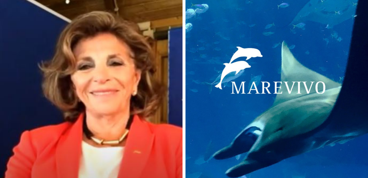 Legge Salvamare, Rosalba Giugni: “Soddisfatta dell’ok del Senato, ma la Camera approvi entro Natale”