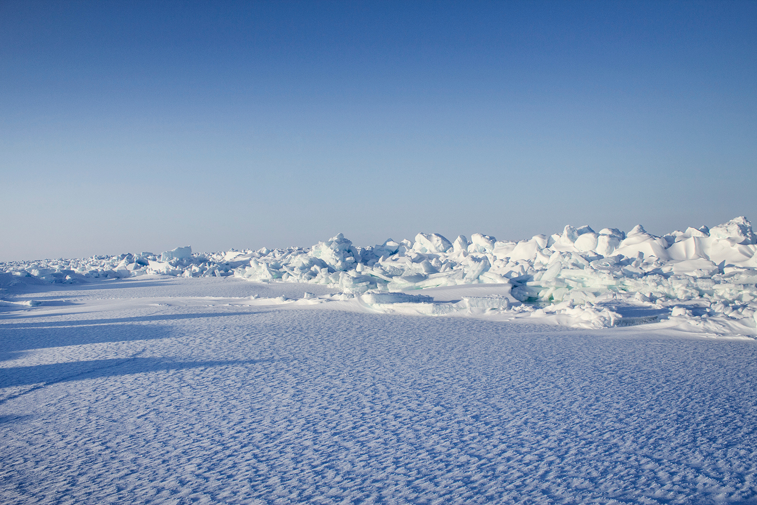 Trovate per la prima volta particelle di nanoplastiche nelle regioni polari della Terra