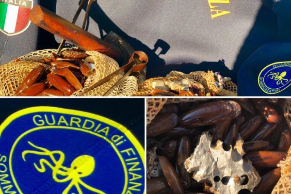 4c16302f E033 4394 97a8 080e49961c22