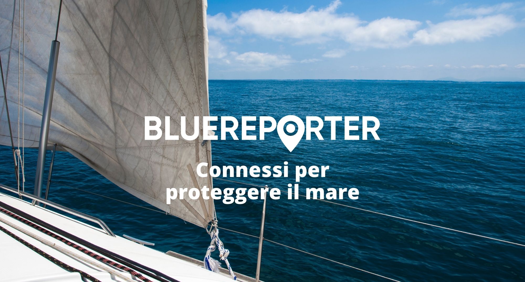 BLUEREPORTER