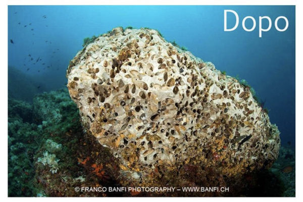 E8f081dc 988a 4ae6 A832 58a8887e692e (1)